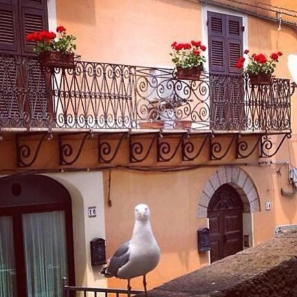 L'Appogghju Bed & Breakfast Castelsardo Dış mekan fotoğraf