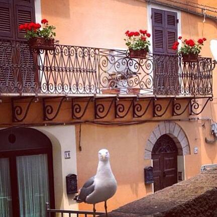 L'Appogghju Bed & Breakfast Castelsardo Dış mekan fotoğraf
